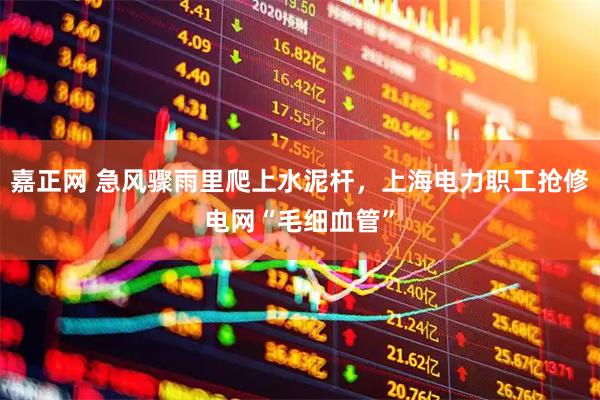 嘉正网 急风骤雨里爬上水泥杆，上海电力职工抢修电网“毛细血管”