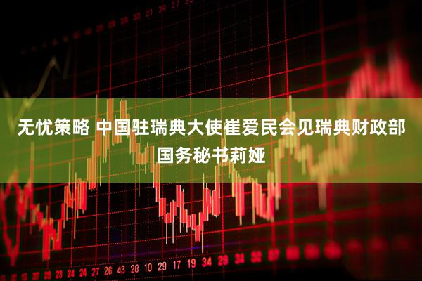 无忧策略 中国驻瑞典大使崔爱民会见瑞典财政部国务秘书莉娅