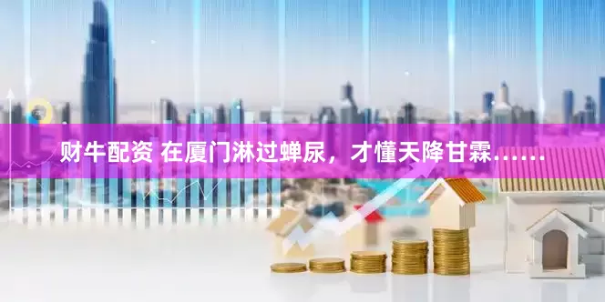 财牛配资 在厦门淋过蝉尿，才懂天降甘霖……